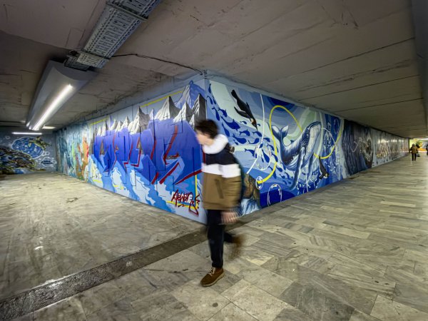 Димитър Кьосемарлиев, Dnes.bg